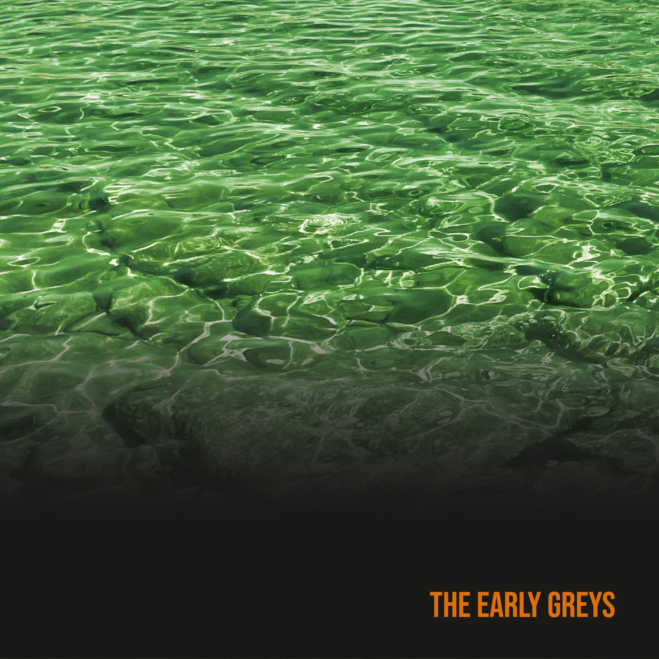 The Early Greys - The Early Greys LP